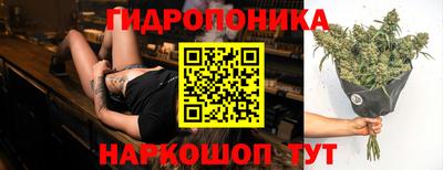 мяу мяу мука Гагарин