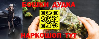 PSILOCYBIN Гатчина