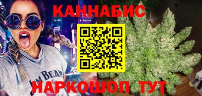 PSILOCYBIN Гатчина