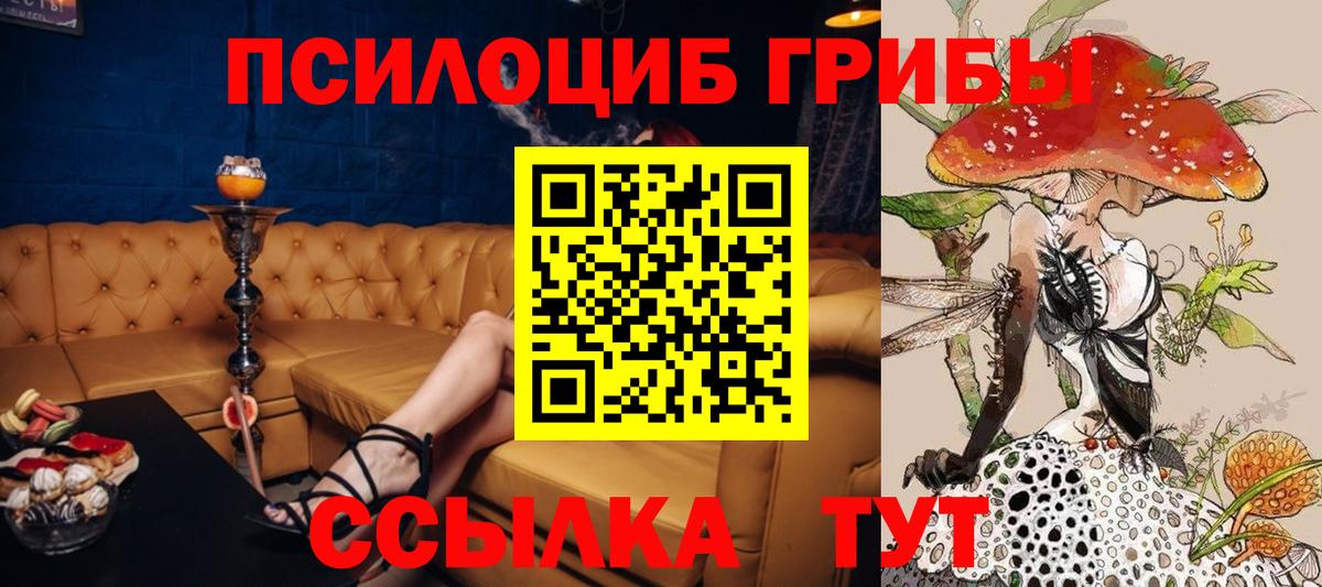 Псилоцибиновые грибы Psilocybine cubensis Новошахтинск